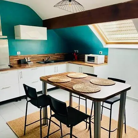 Apartament Cosy Au Coeur Du Vignoble - Proche Epernay En Champagne