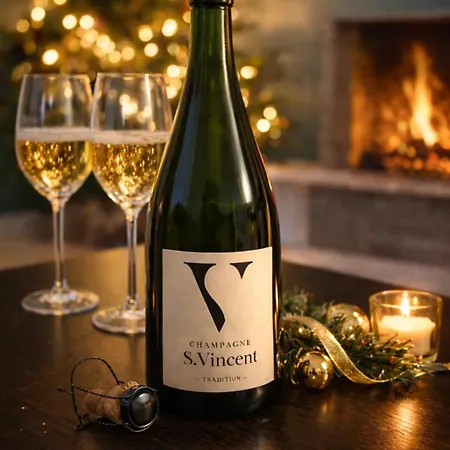 Cosy Au Coeur Du Vignoble - Proche Epernay En Champagne * Damery (Marne)